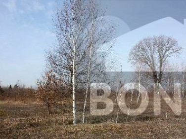 Działka budowlana Sulejówek