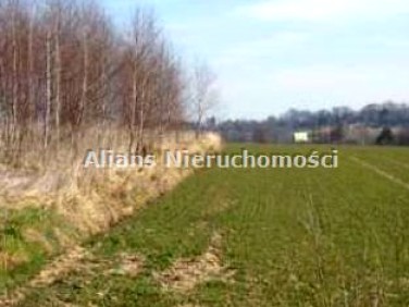 Pusta działka Libertów