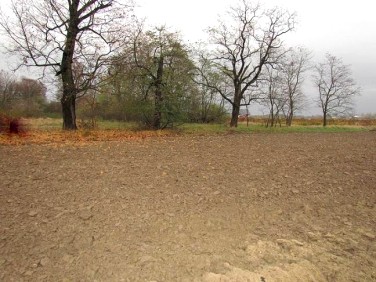 Działka budowlana Oleśnica sprzedam