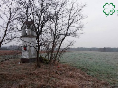 Działka siedliskowa Silna