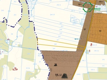 Działka siedliskowa Silna