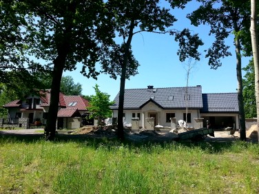 Działka budowlana Halinów