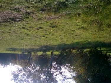 Działka budowlana Przeworsk