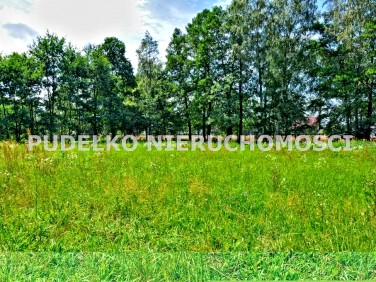 Działka budowlana Góra