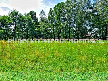 Działka budowlana Góra