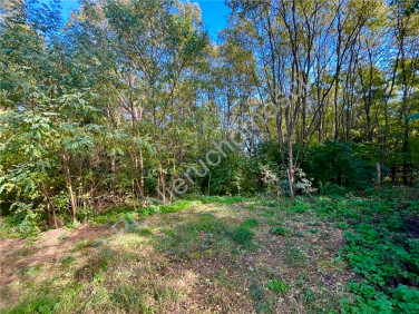 Działka Książenice