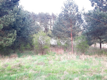 Działka budowlana Studzianki sprzedam