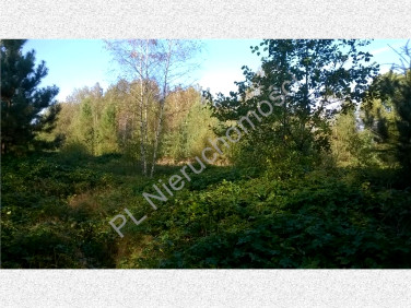 Działka rolna Budy-Grzybek