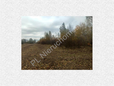 Działka budowlana Budy-Grzybek sprzedam