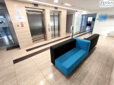 Lokal Kraków wynajem