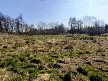 Działka budowlana Rybnik