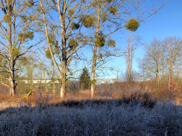 Działka usługowa Police