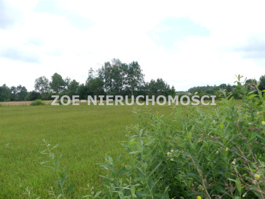 Działka siedliskowa Łomnica