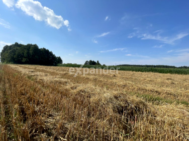 Działka budowlana Stropieszyn