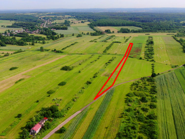 Działka rolna Poręba