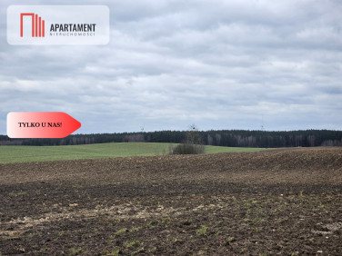 Działka rolna Dąbrówka sprzedam