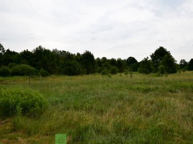 Działka budowlana Wielgolas Brzeziński