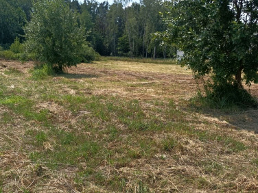 Działka budowlana Lesznowola