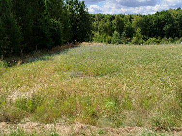 Działka rolna Lubcza