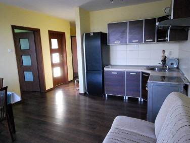 Mieszkanie apartamentowiec wynajem