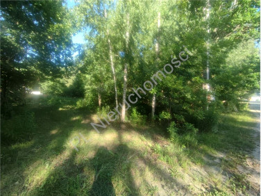 Działka budowlana Adamowizna