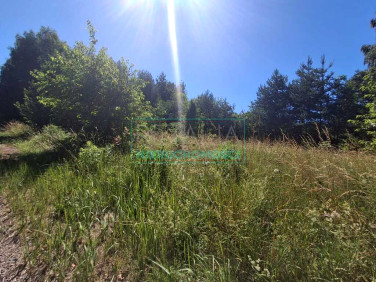 Działka budowlana Budy-Grzybek