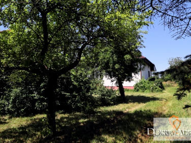 Dom Głogów Małopolski sprzedaż