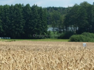 Działka budowlana Rybojedzko