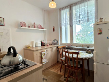 Mieszkanie Biała Podlaska