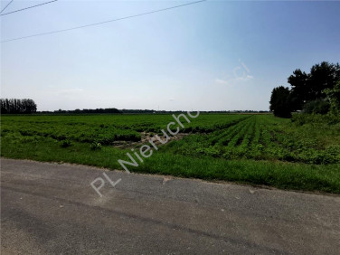 Działka rolna Umiastów