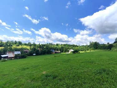 Działka budowlana Knurów sprzedam