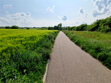 Działka Pierwoszyno