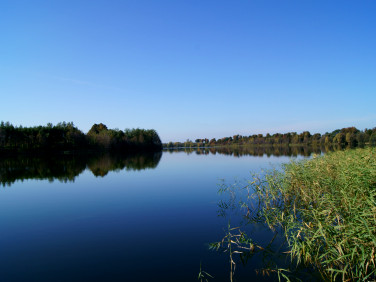 Działka rekreacyjna Orle