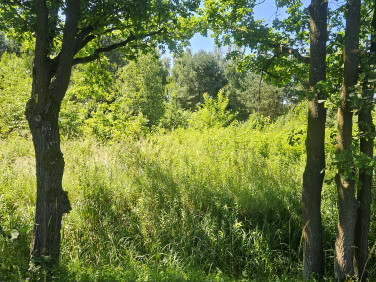 Działka budowlana Chwałowice