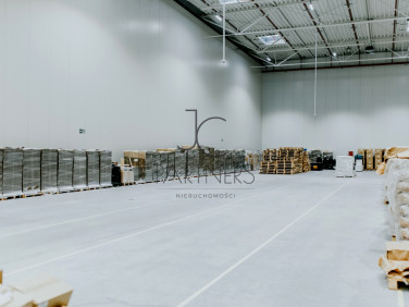 Budynek użytkowy Raszyn