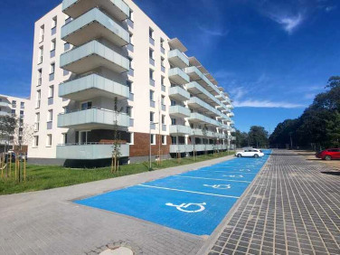 Mieszkanie Zielona Góra