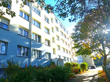 Mieszkanie Bolesławiec