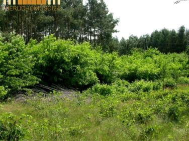 Działka budowlana Józefów