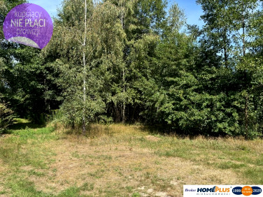 Działka przy lesie