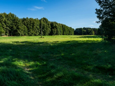 Działka budowlana Tanowo