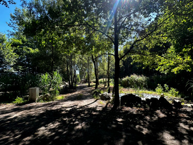 Działka Wodzisław Śląski