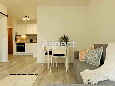 Mieszkanie Rybnik wynajem