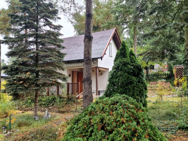 Działka rekreacyjna Pobiedziska