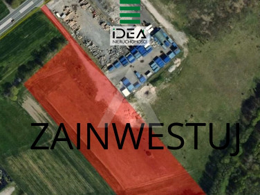 Działka inwestycyjna Niwy sprzedam
