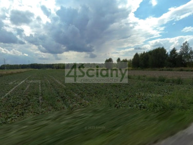 Działka usługowa Sokołów