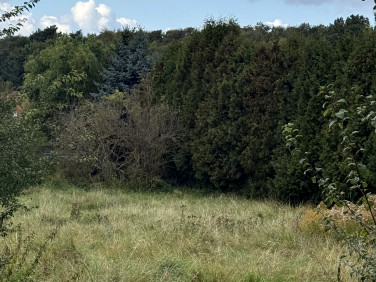 Działka budowlana Pilchowo