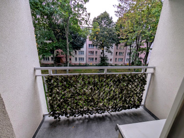 Mieszkanie przy lesie