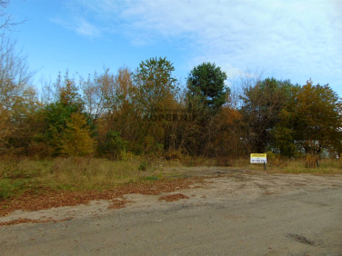 Działka budowlana sprzedam