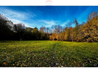 Działka rekreacyjna Bielsko-Biała