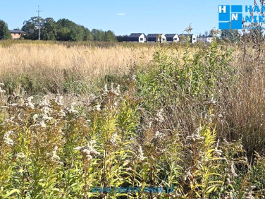 Działka budowlana Falenty Duże